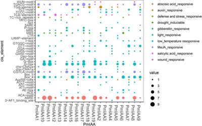 Genome-wide identification of Aux/IAA gene family and their expression analysis in Prunus mume